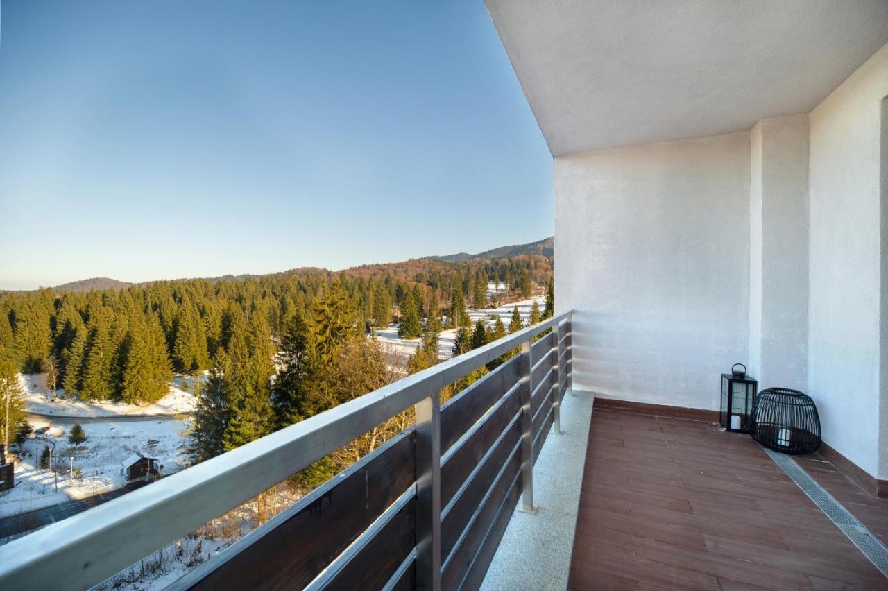 Forest Corner In Silver Mountain Of Poiana Brasov Buitenkant foto