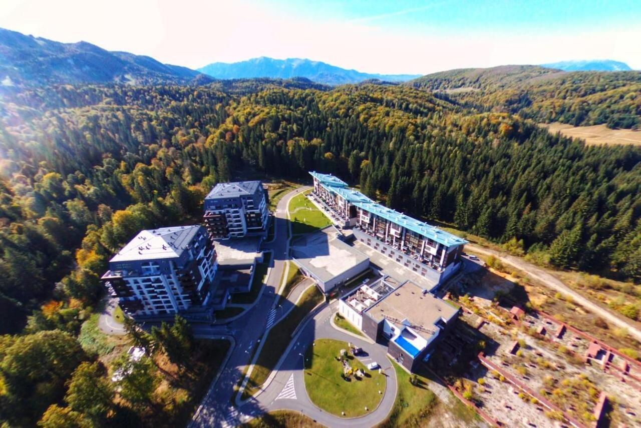 Forest Corner In Silver Mountain Of Poiana Brasov Buitenkant foto
