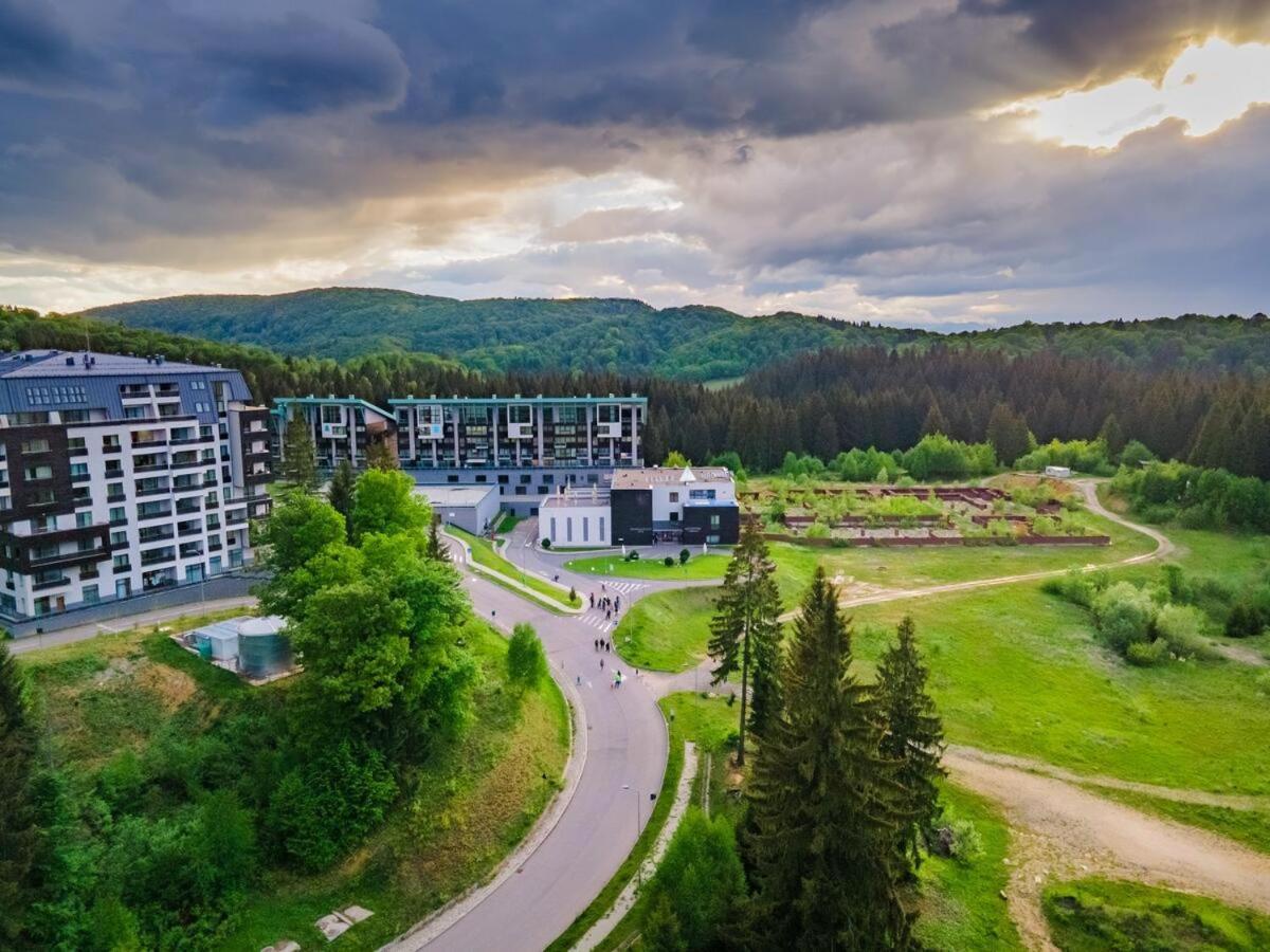 Forest Corner In Silver Mountain Of Poiana Brasov Buitenkant foto
